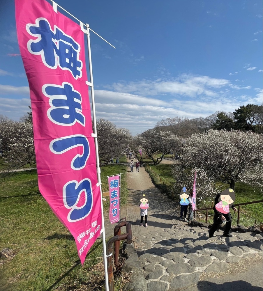 ❁⃘*.ﾟ·͜·♡さんが投稿した越谷梅林公園に関する口コミの画像
