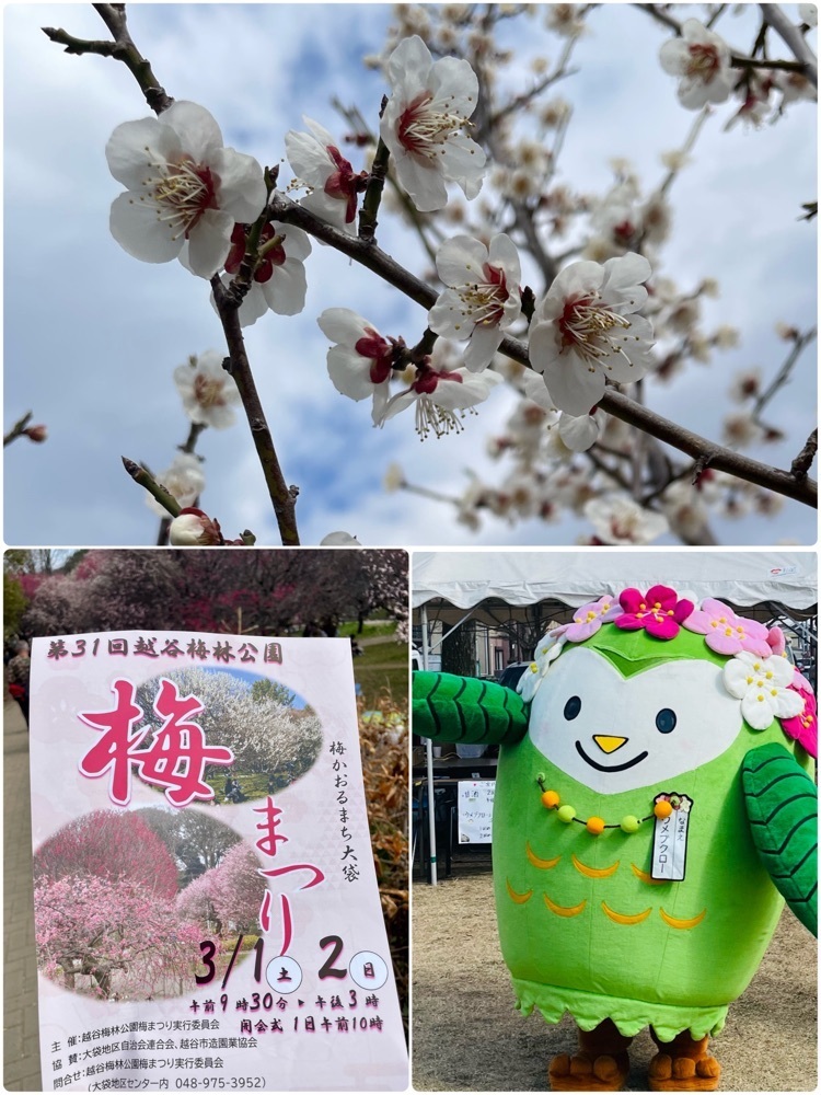 ❁⃘*.ﾟ·͜·♡さんが投稿した越谷梅林公園に関する口コミの画像