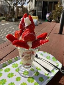 土方洋蘭いちご園