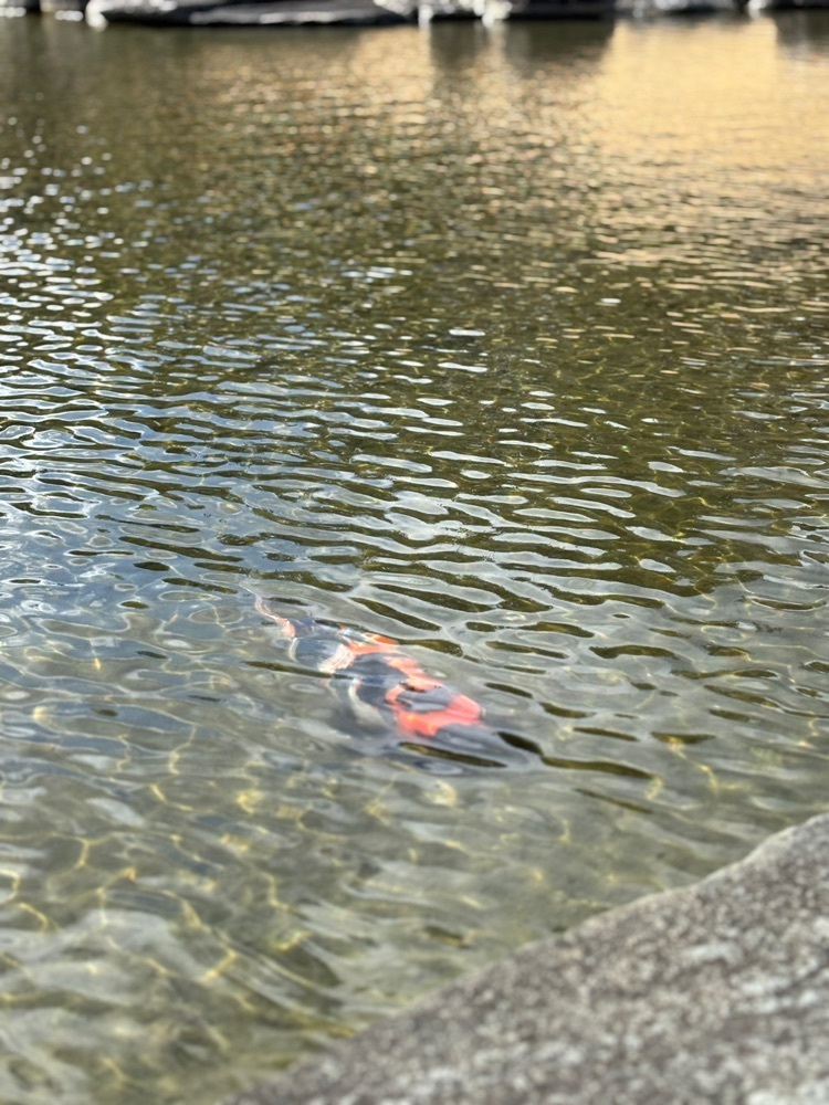 それなはとけさんが投稿した凌雲亭に関する口コミの画像