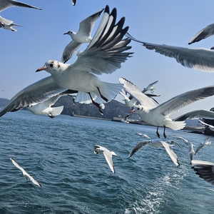 サンビーチ鳥羽