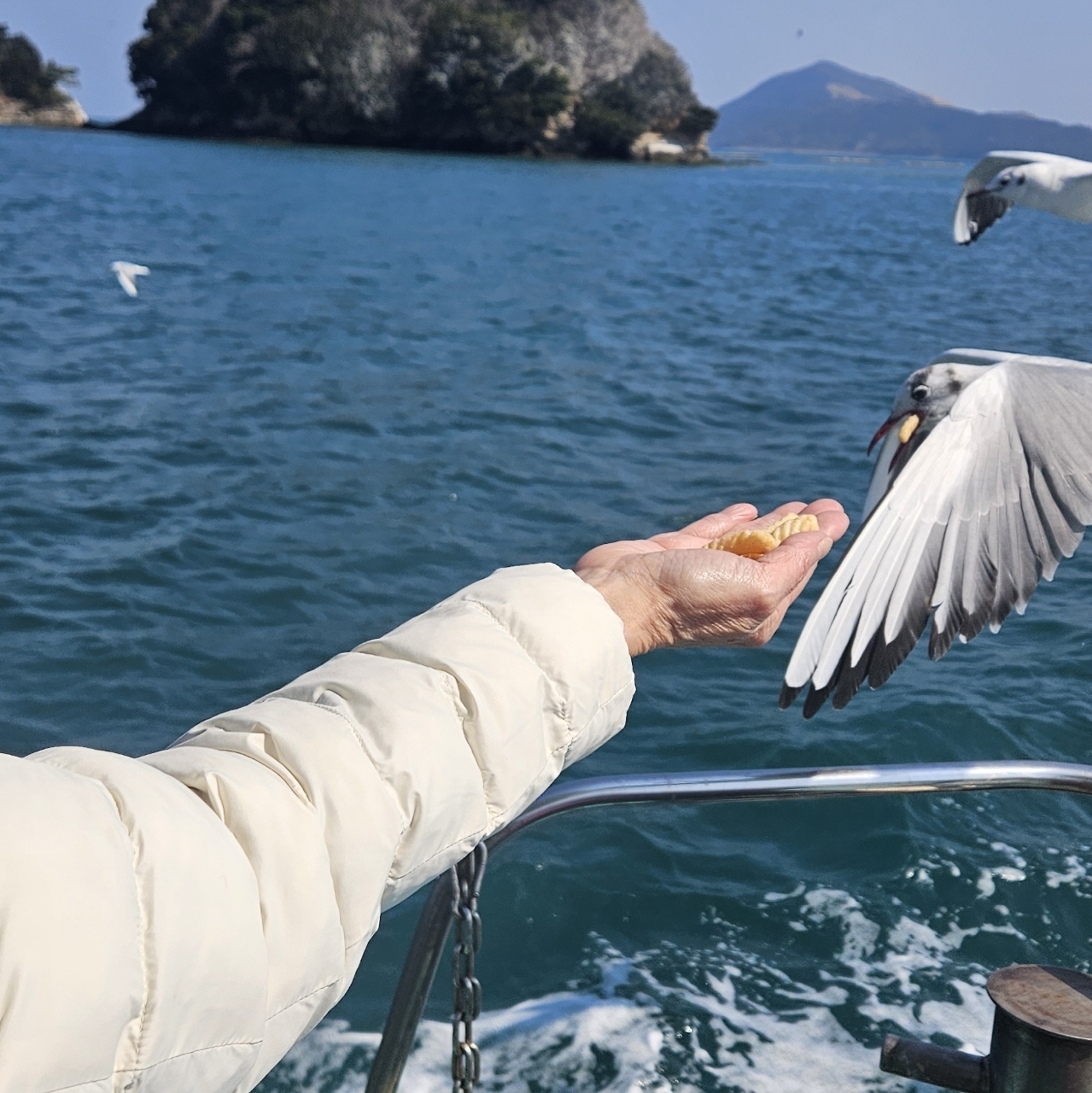 ノワニャンコ🐱さんが投稿したサンビーチ鳥羽に関する口コミの画像