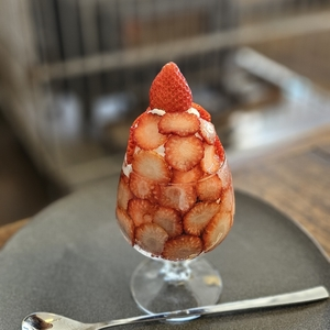 ノカフェ