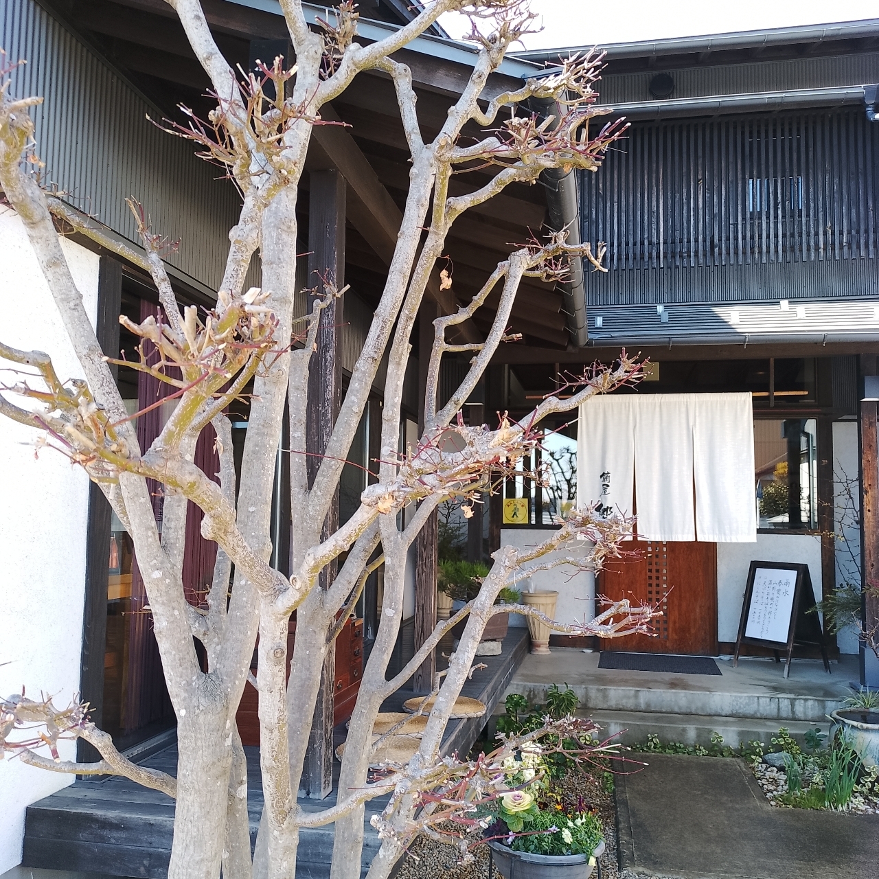 のんびりんこさんが投稿した蕎麦処鏑屋響に関する口コミの画像