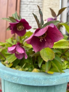 旧田中家鋳物民俗資料館 8枚目