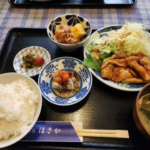 膳処ほさか