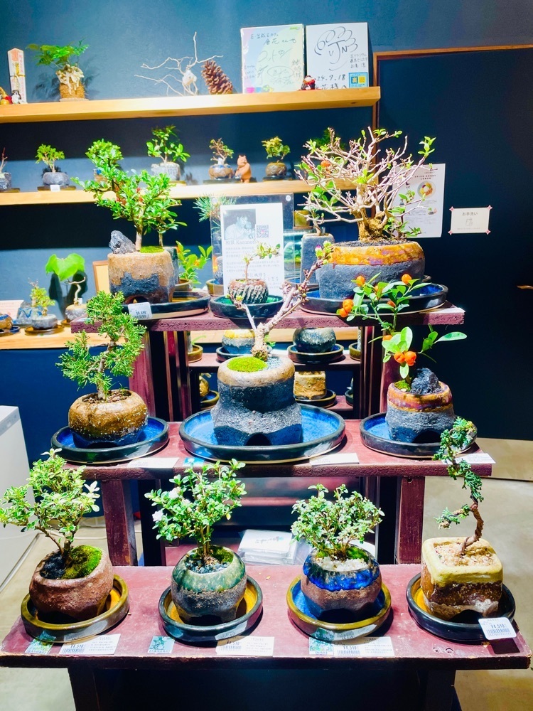 hirokororinさんが投稿した唐花に関する口コミの画像