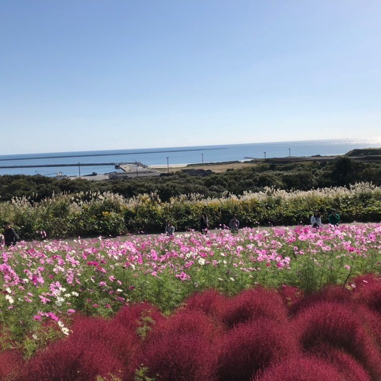 moeka3さんが投稿した画像の画像