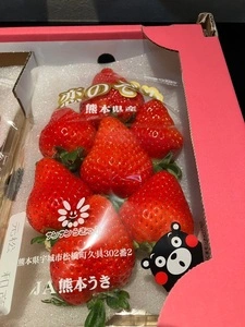 サンサンうきっ子宇城彩館
