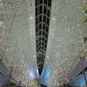 ソラドンキ 羽田空港店（SORADONKI）