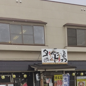 タイガーandドラゴン 下長店