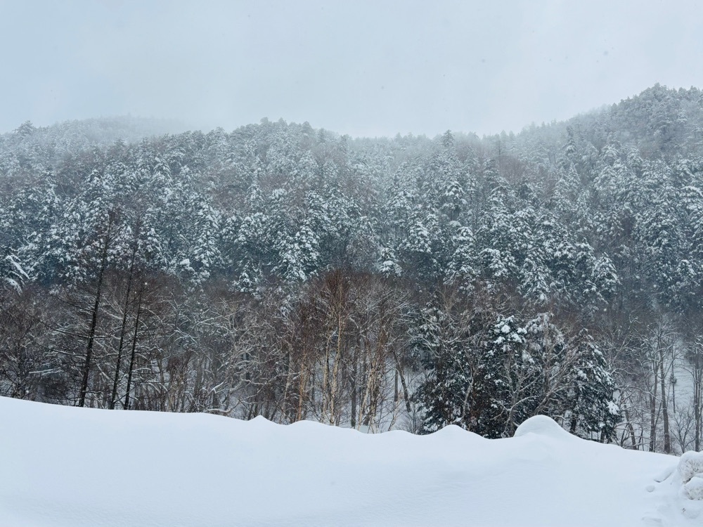 それなはとけさんが投稿した浅間山に関する口コミの画像