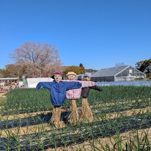 名古屋市農業センター delaふぁーむ（なごやしのうぎょうせんたー でらふぁーむ）