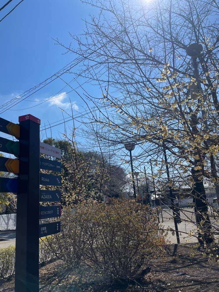 powerful_gift_4f3aさんが投稿した清水公園フィールドアスレチックに関する口コミの画像