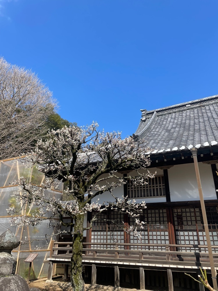 powerful_gift_4f3aさんが投稿した清水公園フィールドアスレチックに関する口コミの画像