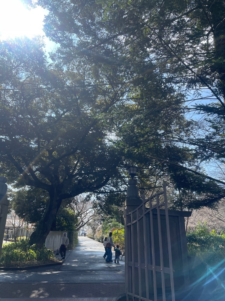 powerful_gift_4f3aさんが投稿した清水公園フィールドアスレチックに関する口コミの画像