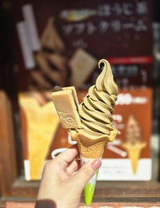 自家焙煎ほうじ茶の店 森乃園