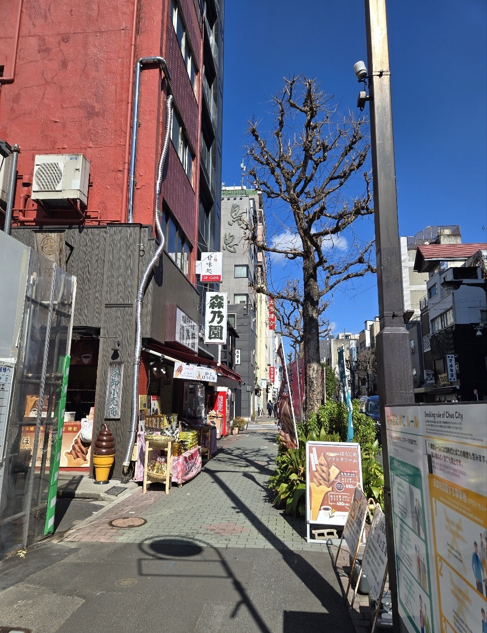 じゅりぽんさんが投稿した自家焙煎ほうじ茶の店 森乃園に関する口コミの画像