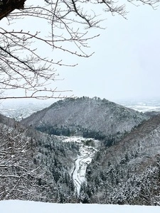 若松寺