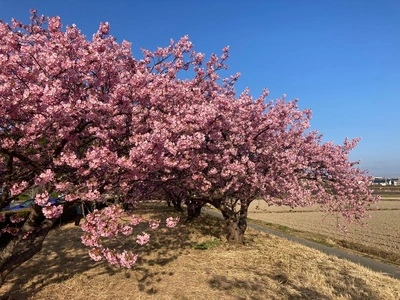 兎山公園