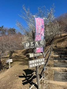 宝登山山頂駅
