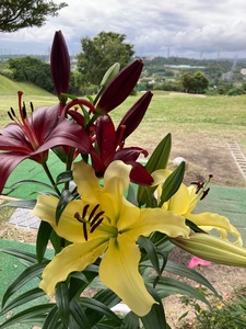 南乃畑 エナジック具志川ゴルフクラブ店 1枚目