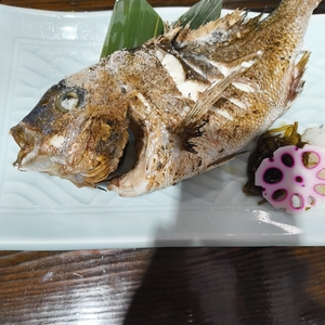釣船茶屋 ざうお 所沢店（ツリブネヂャヤザウオ）