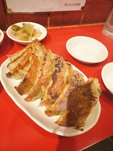 菜記餃子専門店（サイキギョウザセンモンテン）