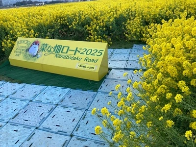 菜な畑ロード