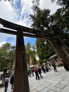 東照宮陽明門