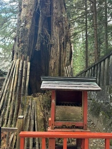 東照宮唐門