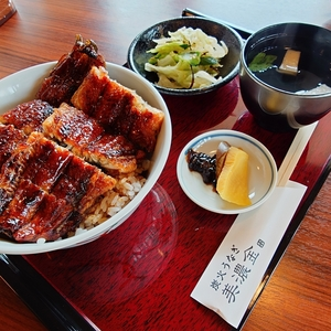 炭火うなぎ 美濃金