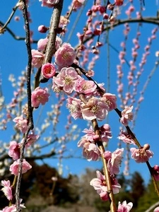 千波公園
