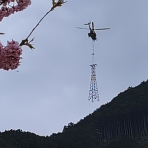 種まき権兵衛の里