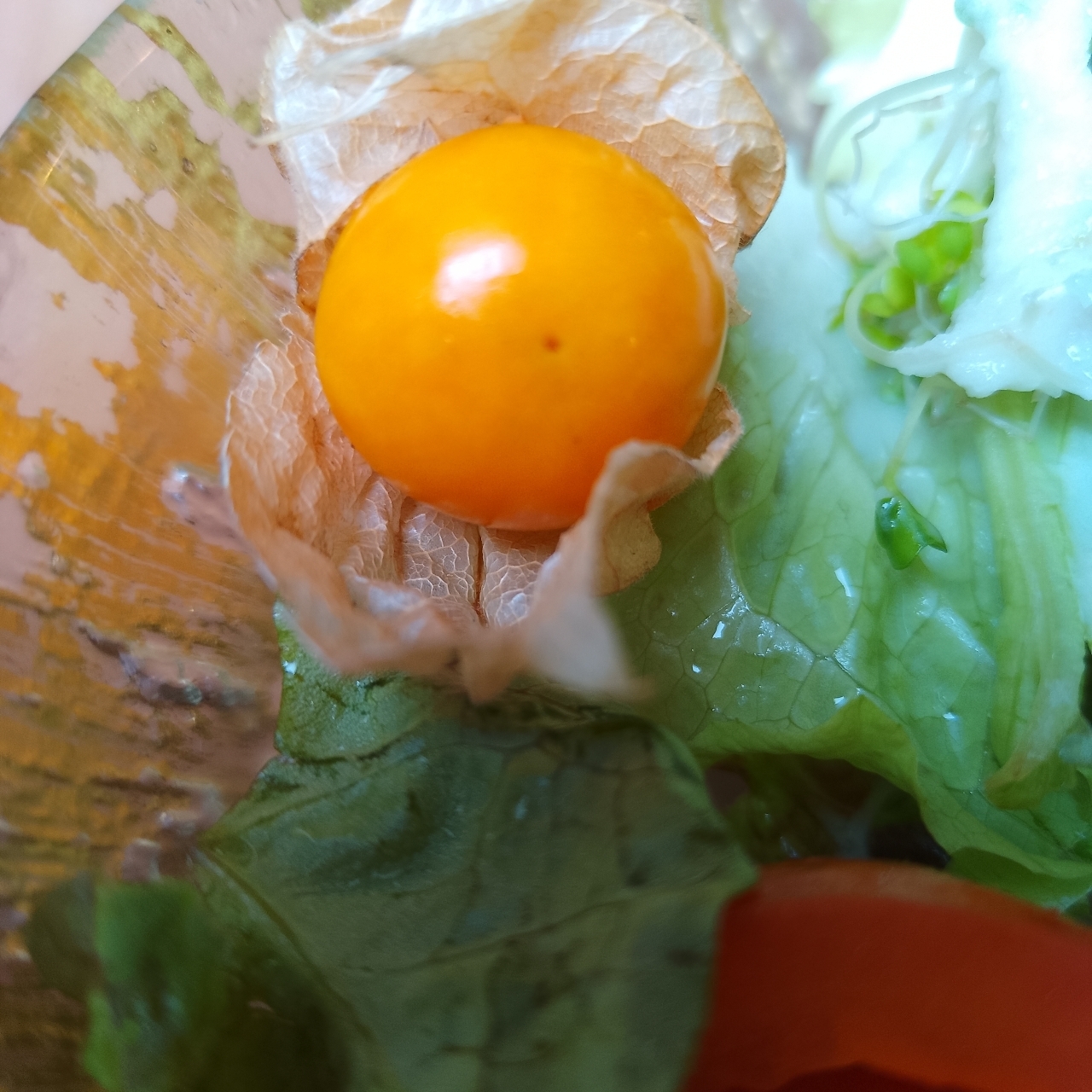 のんびりんこさんが投稿したチャイニーズファン 高崎タカシマヤ店に関する口コミの画像