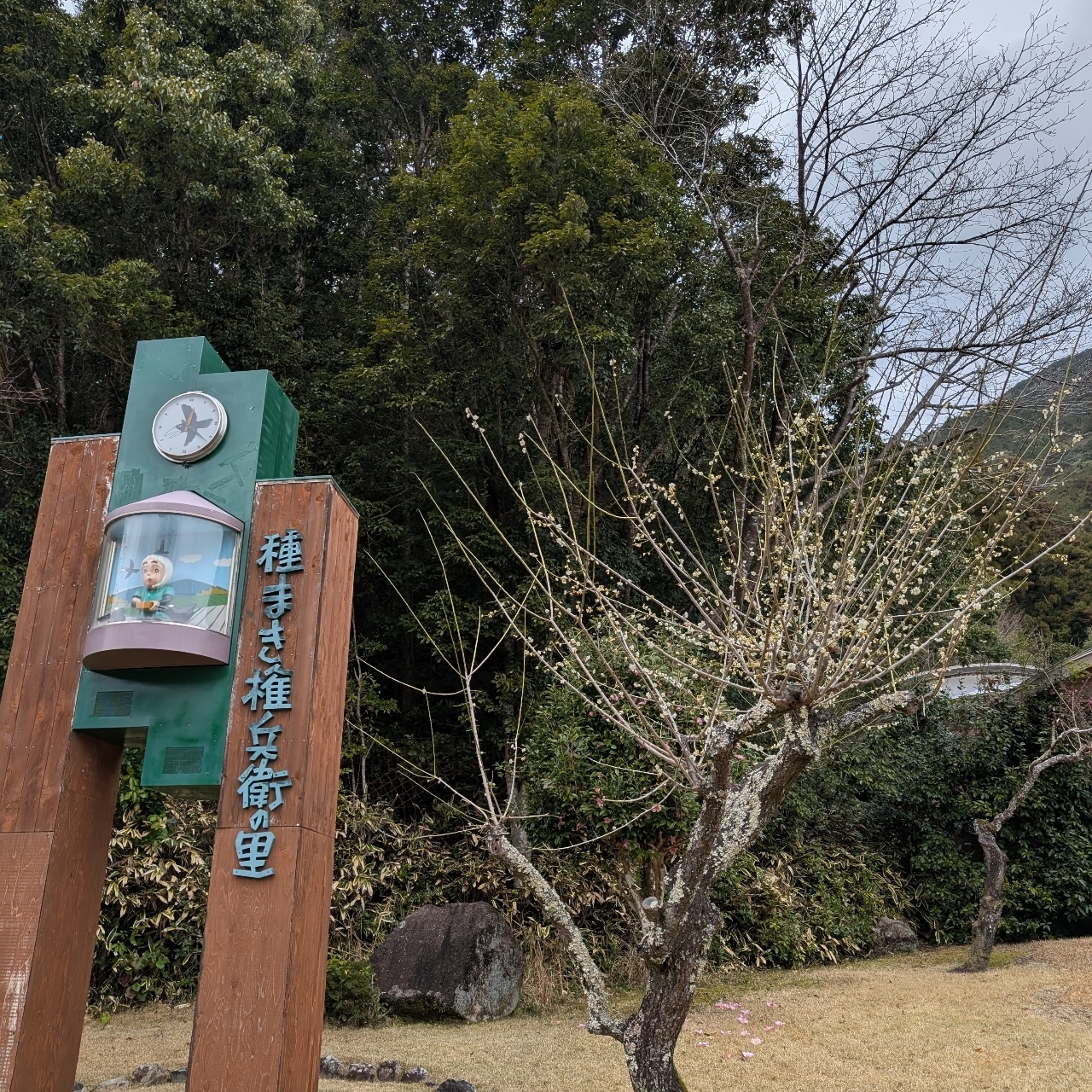 ぬっくさんが投稿した種まき権兵衛の里に関する口コミの画像