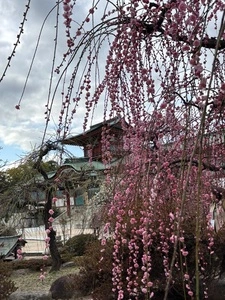 防府天満宮