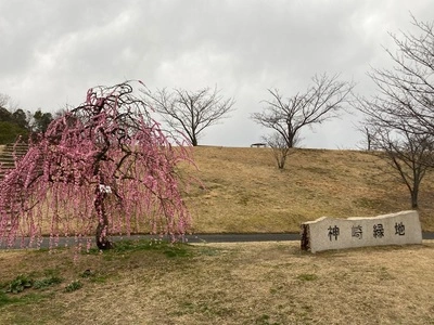 神崎梅園