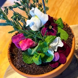 ザ ファームカフェ（THE FARM cafe）