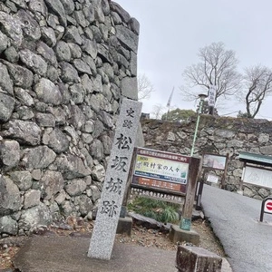 松坂城跡（松阪公園）の藤