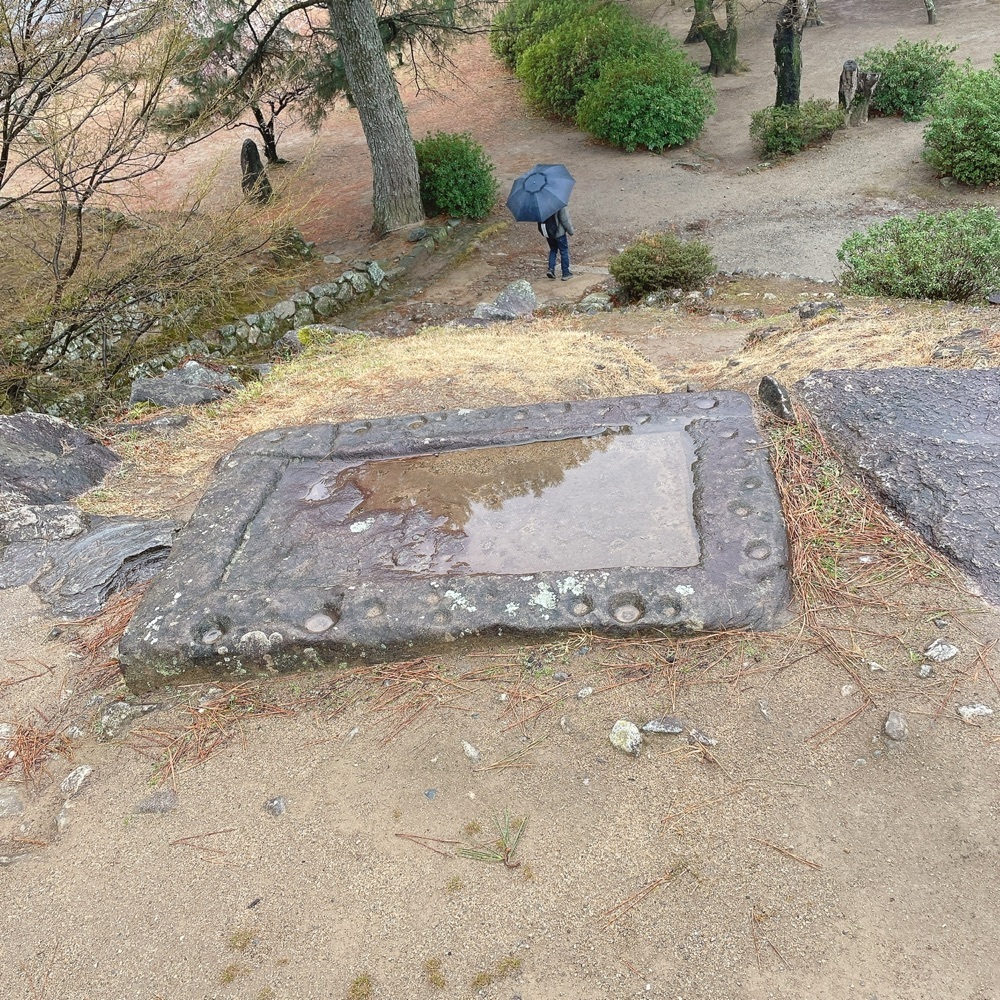 Danjouさんが投稿した松坂城跡（松阪公園）の藤に関する口コミの画像