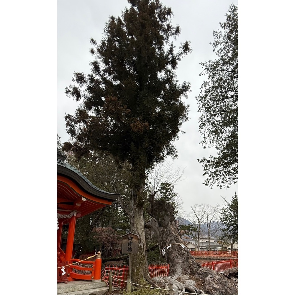 かつさんが投稿した生島足島神社に関する口コミの画像