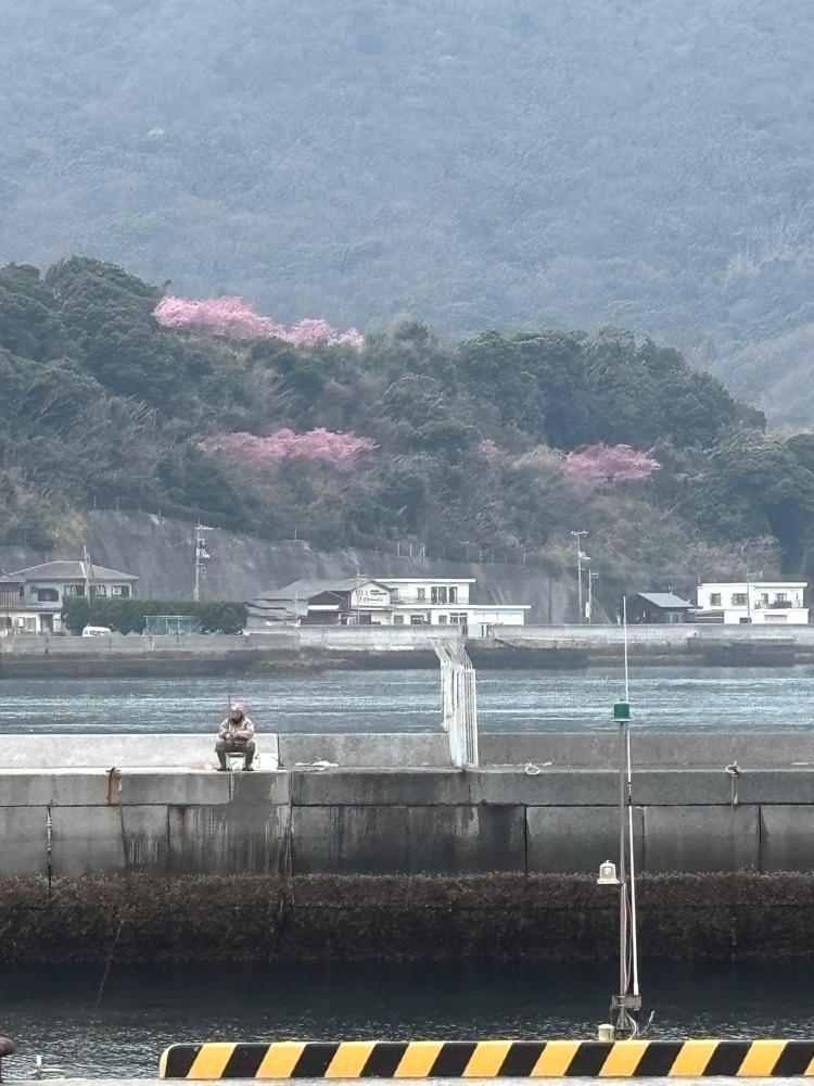 みーなさんが投稿した上関水産 道の駅店（カミノセキスイサン）に関する口コミの画像