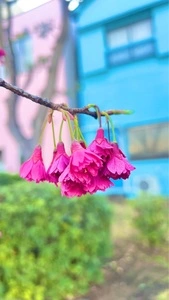 深川公園