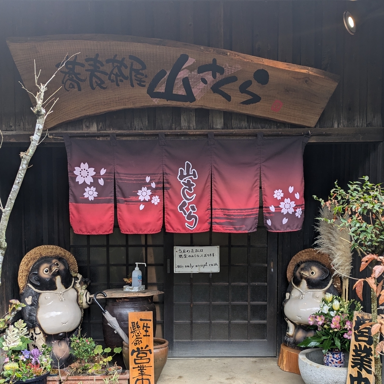 ばらっちゃんさんが投稿した山さくらに関する口コミの画像