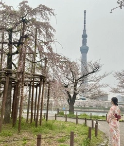 隅田公園