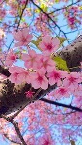 深川公園