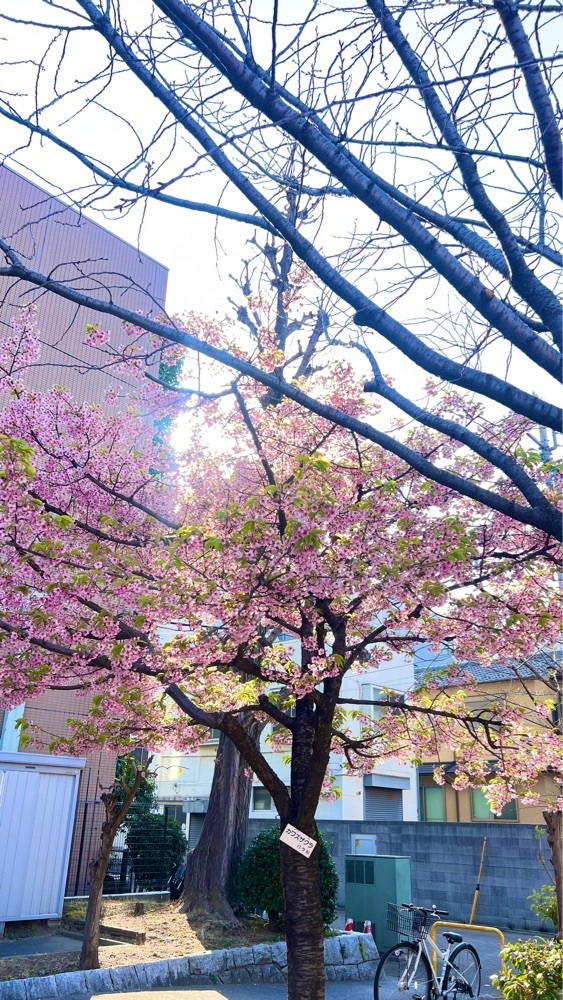 miiさんが投稿した深川公園に関する口コミの画像