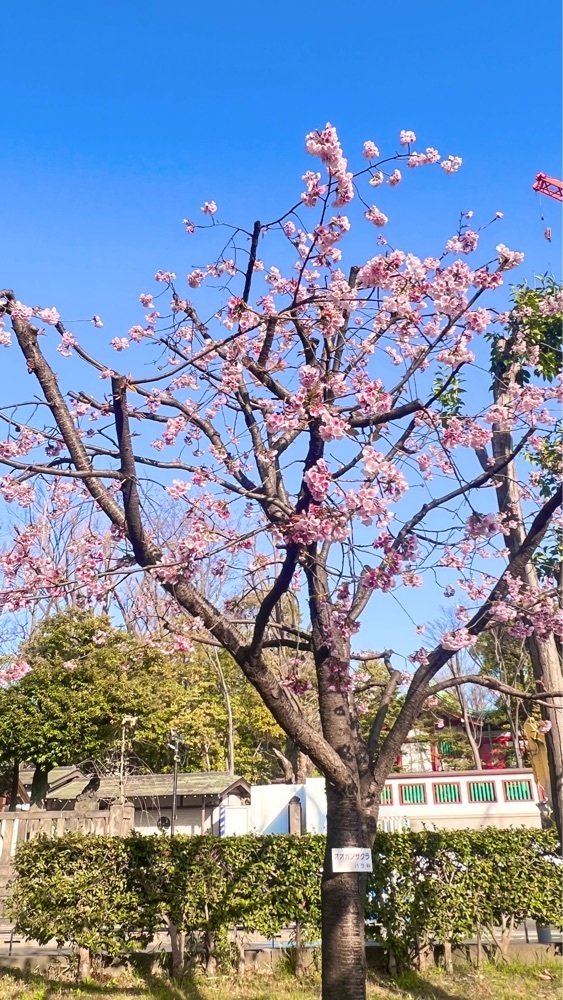 miiさんが投稿した深川公園に関する口コミの画像