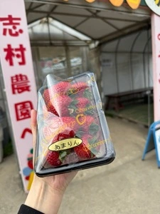いちごとお花畑　志村農園
